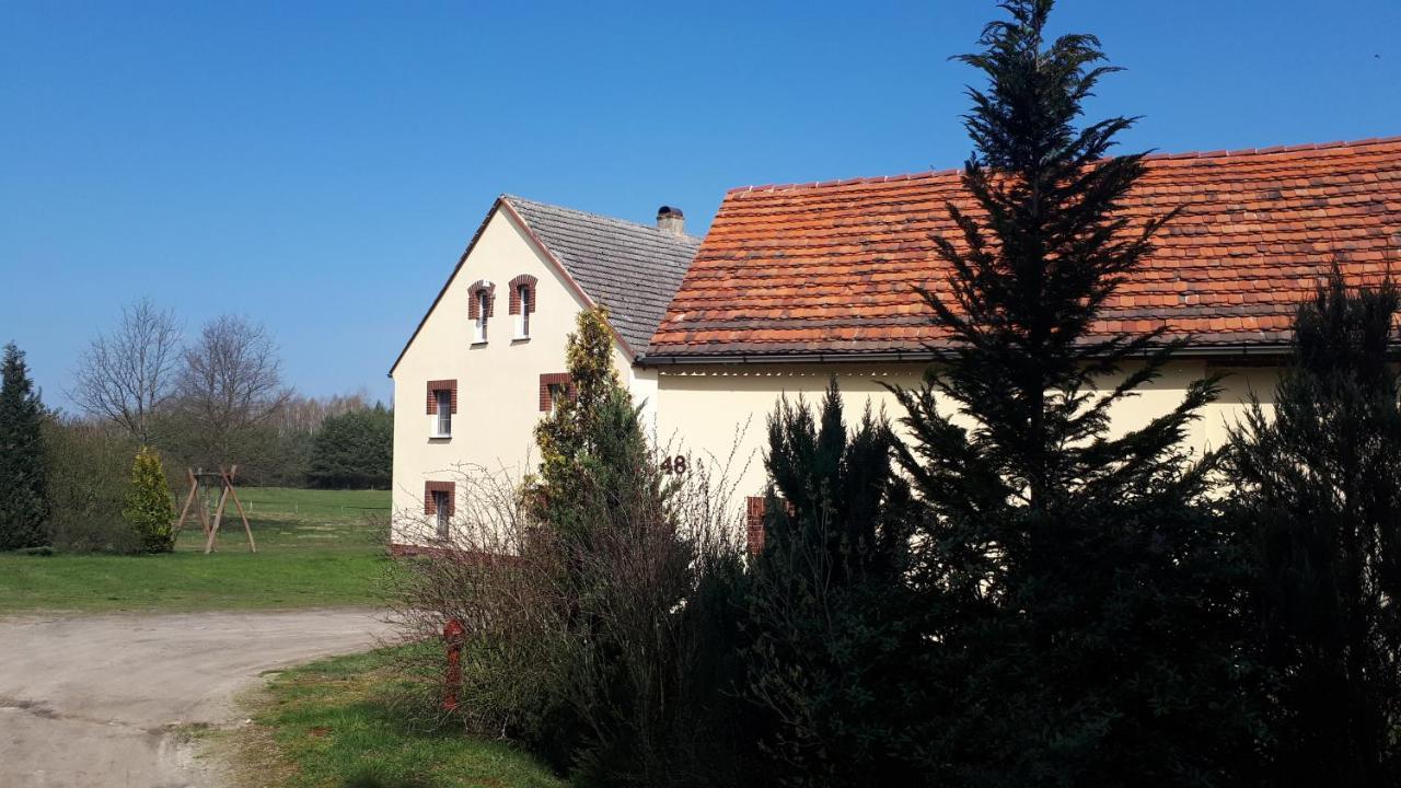 Chojnow Agroturystyka Chata Jana מראה חיצוני תמונה
